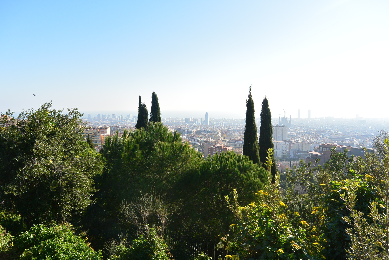 Espagne 261218 301218  206